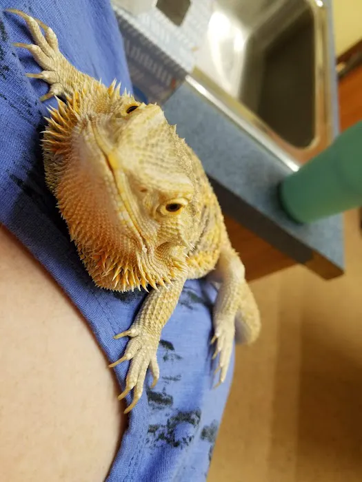 North Alabama Cat & Bird Vet Picture 10