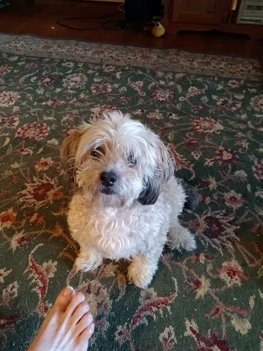 Morgan Animal Hospital Picture 1
