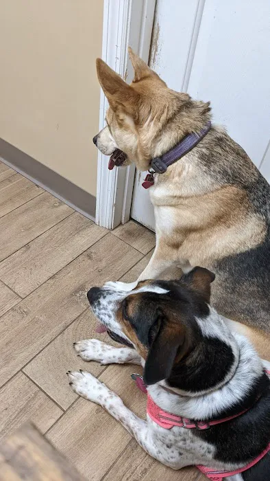 Morgan Animal Hospital Picture 2