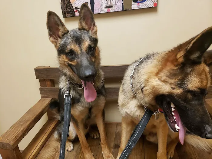 Morgan Animal Hospital Picture 3
