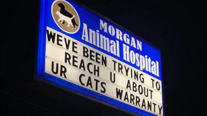 Morgan Animal Hospital Picture 9