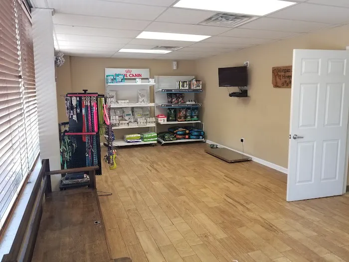 Morgan Animal Hospital Picture 10