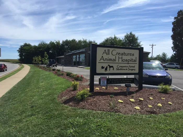 All Creatures Animal Hospital Picture 4