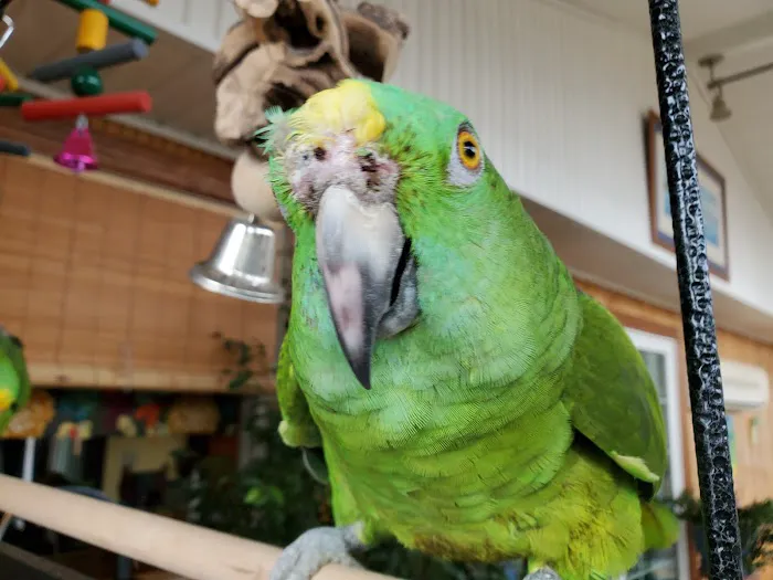All Creatures Animal Hospital Picture 8