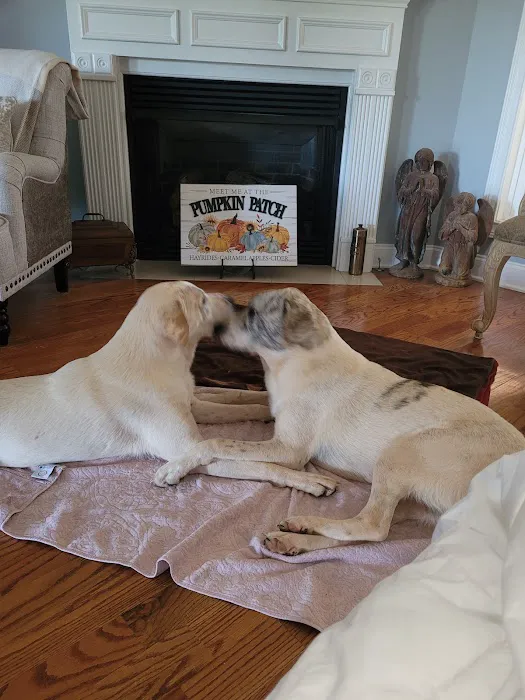 Greystone Pet Hospital Picture 4
