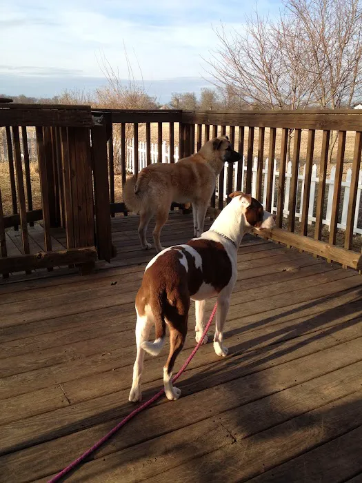Greystone Pet Hospital Picture 8