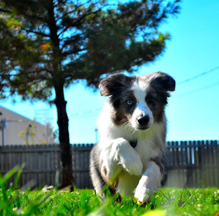 Greystone Pet Hospital Picture 7