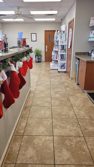 All Cats & Dogs Veterinary Hospital Picture 3