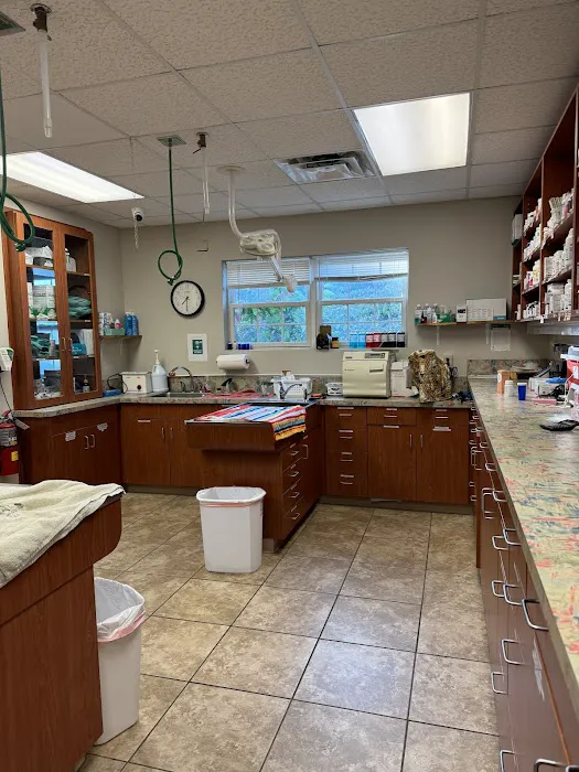 All Cats & Dogs Veterinary Hospital Picture 9