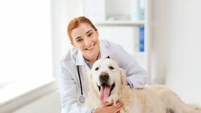 Bowling Green Veterinary Emergency Clinic Picture 3