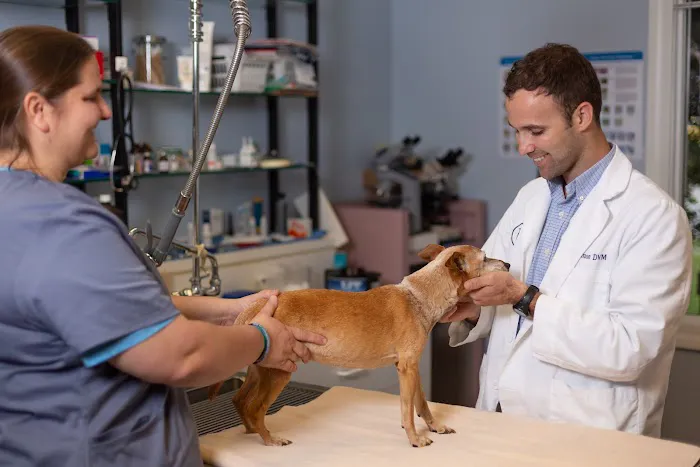 By Pass Animal Clinic Picture 7