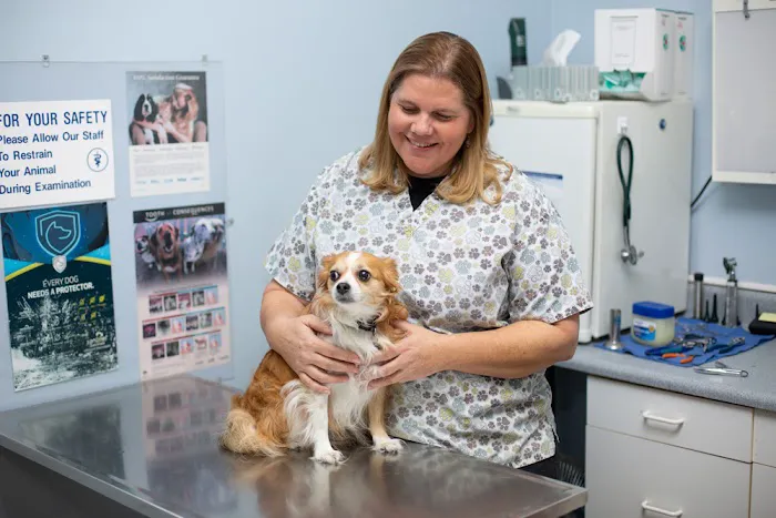 By Pass Animal Clinic Picture 9