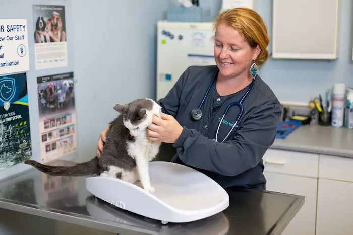 By Pass Animal Clinic Picture 10