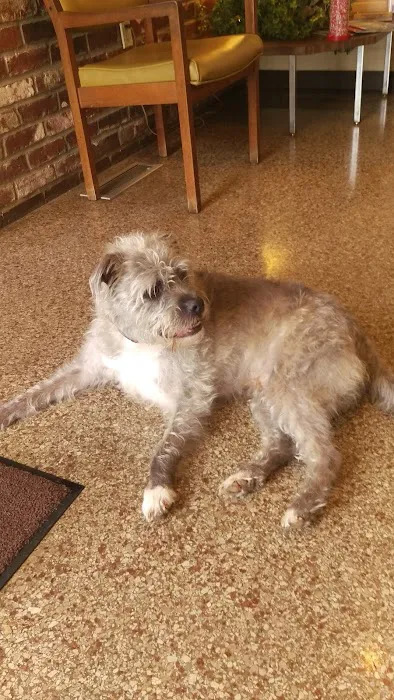 Simpson County Animal Hospital Llc Picture 1
