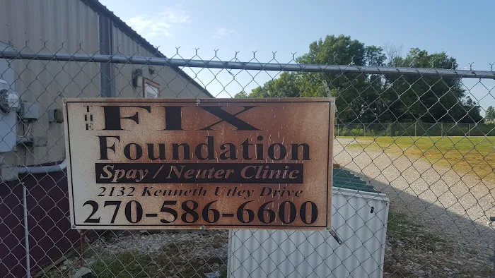 Fix Foundation Picture 9