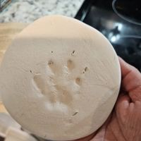 Root on the Ridge Animal Clinic ico
