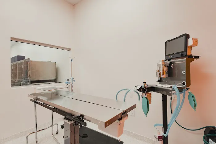 Davis Family Veterinary Hospital Picture 1