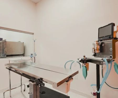 Davis Family Veterinary Hospital