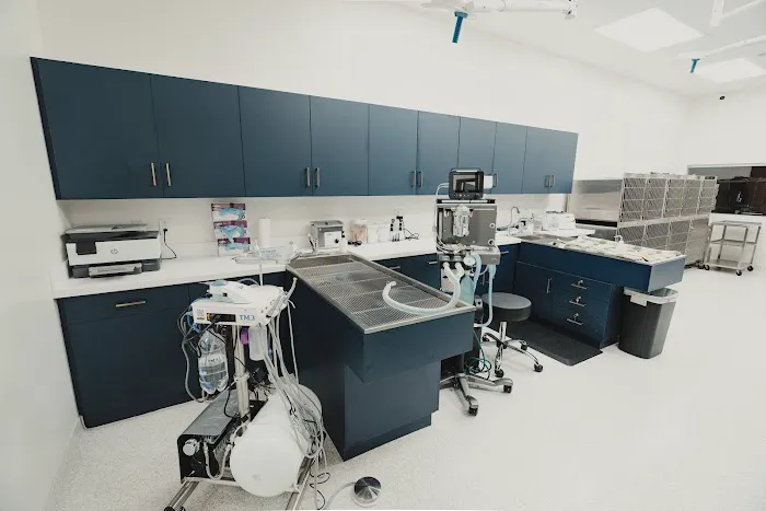 Davis Family Veterinary Hospital Picture 3