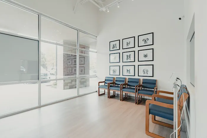 Davis Family Veterinary Hospital Picture 6