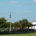 O'Brien Veterinary Hospital
