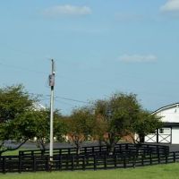 O'Brien Veterinary Hospital ico