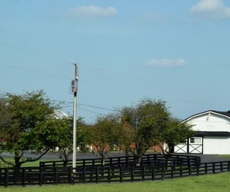 O'Brien Veterinary Hospital