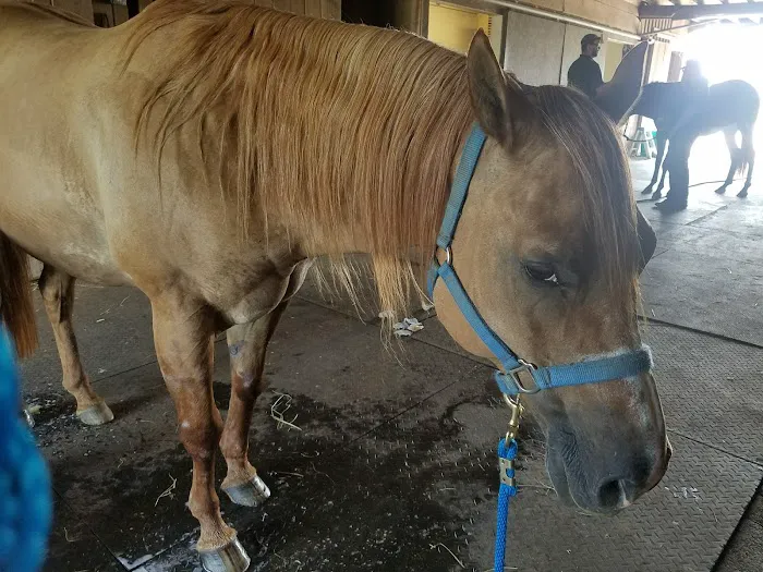O'Brien Veterinary Hospital Picture 7