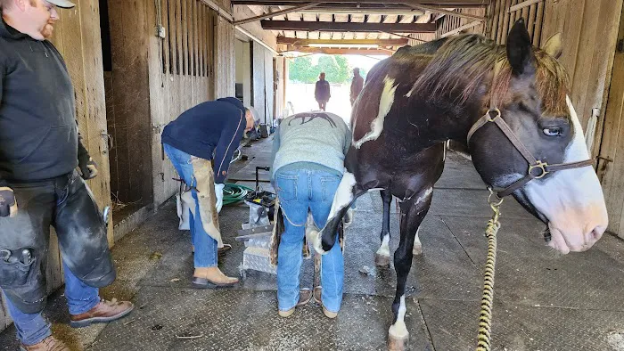 O'Brien Veterinary Hospital Picture 9