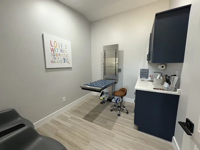 PAWSH Premier Animal Wellness & Surgery Hospital: Dr. Adrienne Price DVM Picture 9