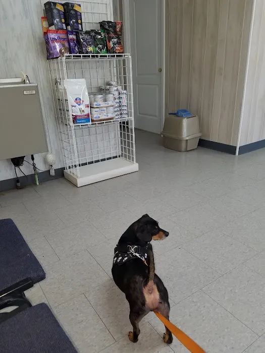 Rolling Hills Veterinary Services Picture 1