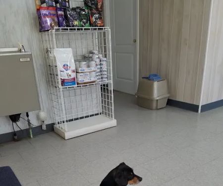Rolling Hills Veterinary Services