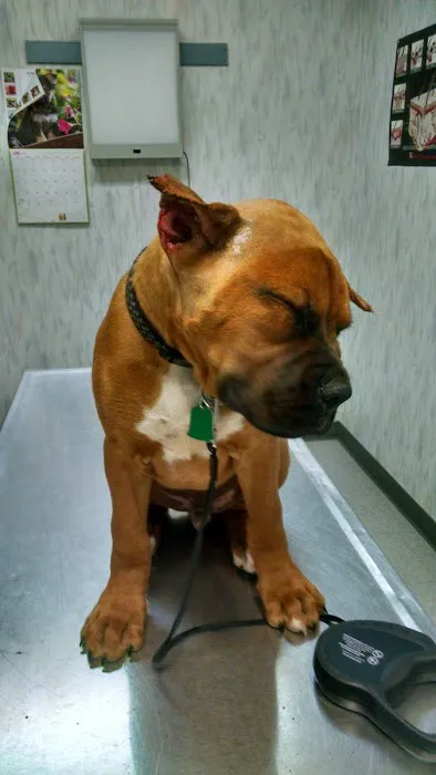 Rolling Hills Veterinary Services Picture 3