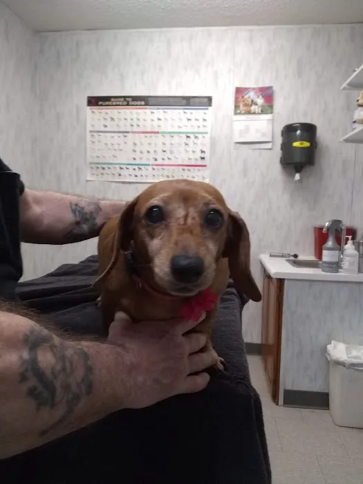Rolling Hills Veterinary Services Picture 4