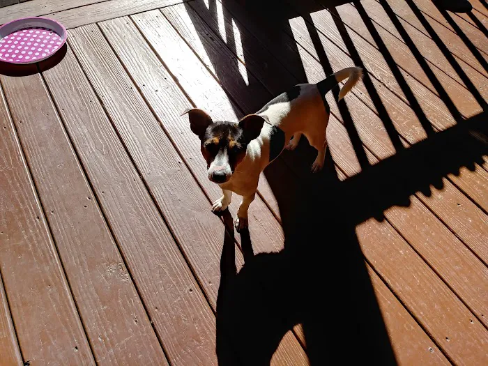 Rolling Hills Veterinary Services Picture 7