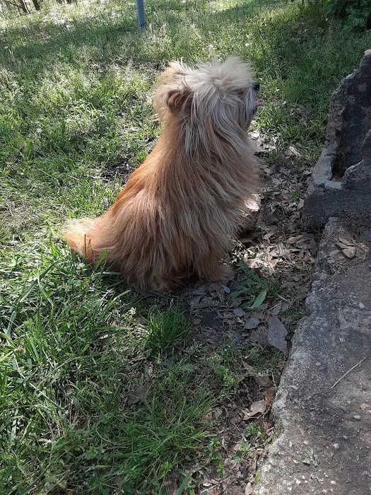 VCA Animal Medical Center of NE Alabama Picture 7