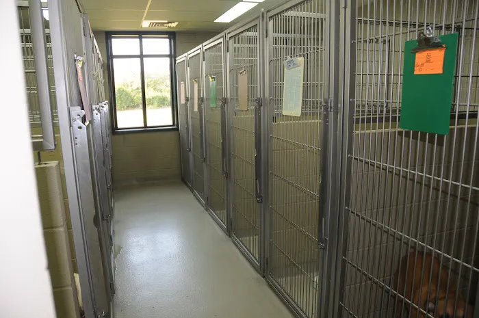 VCA Animal Medical Center of NE Alabama Picture 5