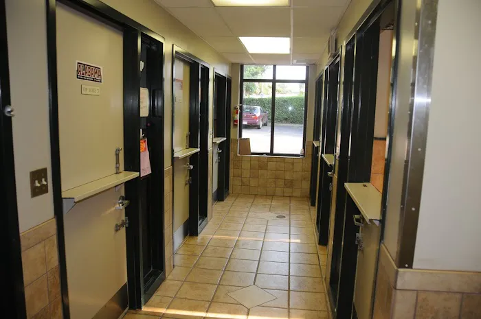 VCA Animal Medical Center of NE Alabama Picture 8
