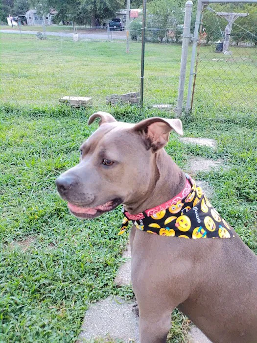 Greenbrier Animal Clinic Picture 2