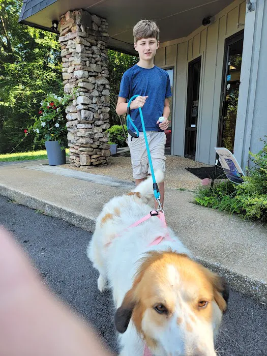 Greenbrier Animal Clinic Picture 10