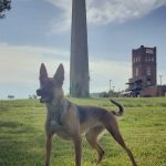 Anniston Veterinary Clinic