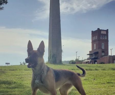 Anniston Veterinary Clinic