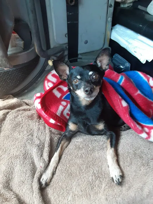 Cheaha Animal Hospital Picture 3