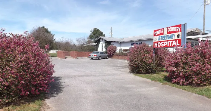 Town and Country Veterinary Hospital - Animal Care Associates Picture 6