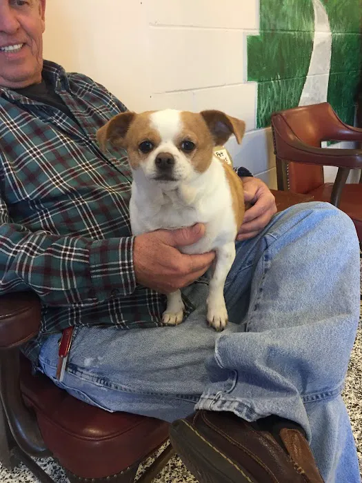 Town and Country Veterinary Hospital - Animal Care Associates Picture 10