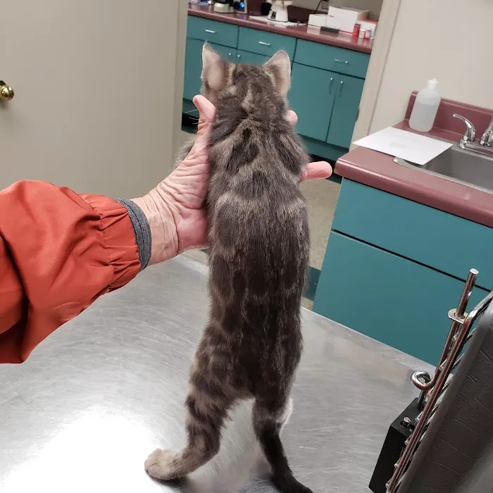 Tony Crider DVM - Catoma Animal Clinic Picture 5