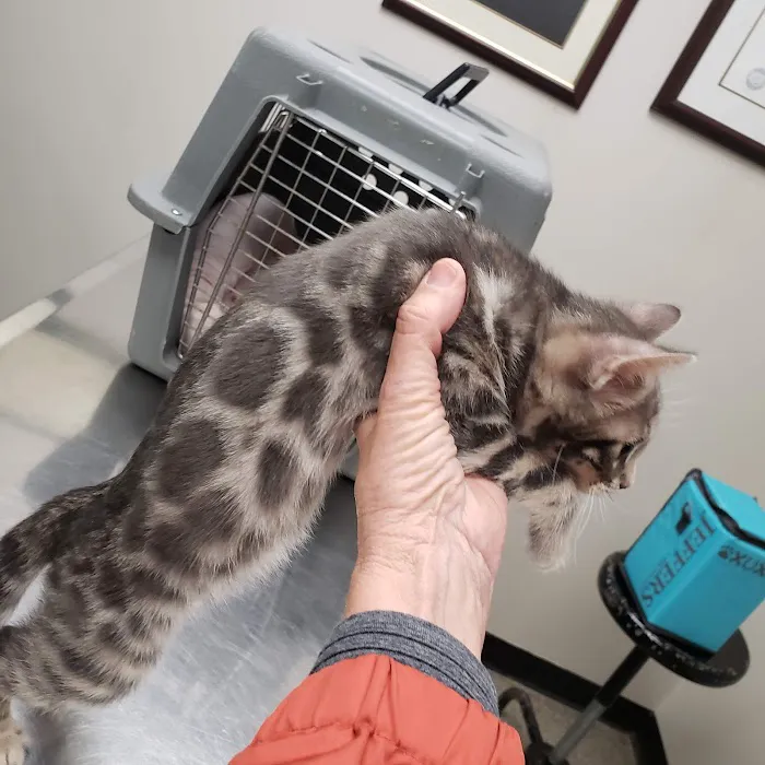 Tony Crider DVM - Catoma Animal Clinic Picture 6
