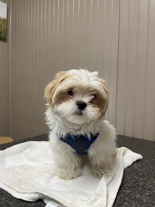 Compton's Veterinary Hospital Picture 6