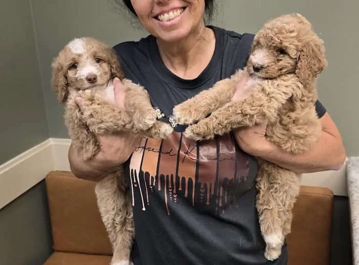 Lee's Veterinary Hospital Picture 2