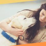 Northside Veterinary Hospital